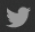 Twitter Twitter